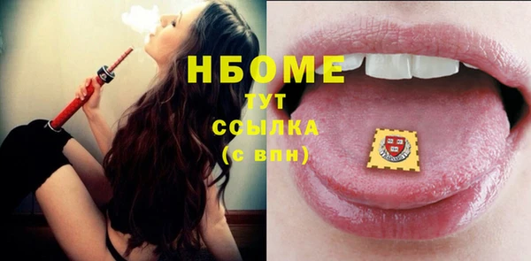 стаф Алзамай