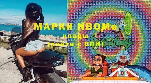 стаф Алзамай