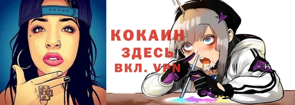 стаф Алзамай