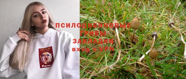 молекула духа Алексин
