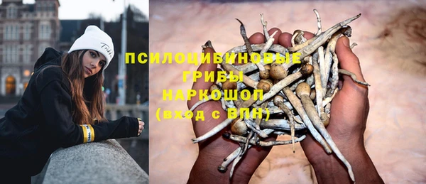 молекула духа Алексин