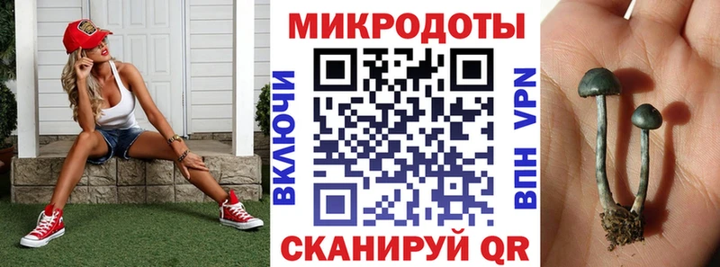 купить наркотики цена  Карачев  Галлюциногенные грибы Magic Shrooms 